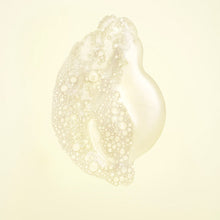 Load image into Gallery viewer, Oribe Hair Alchemy Resilience Shampoo 250ml